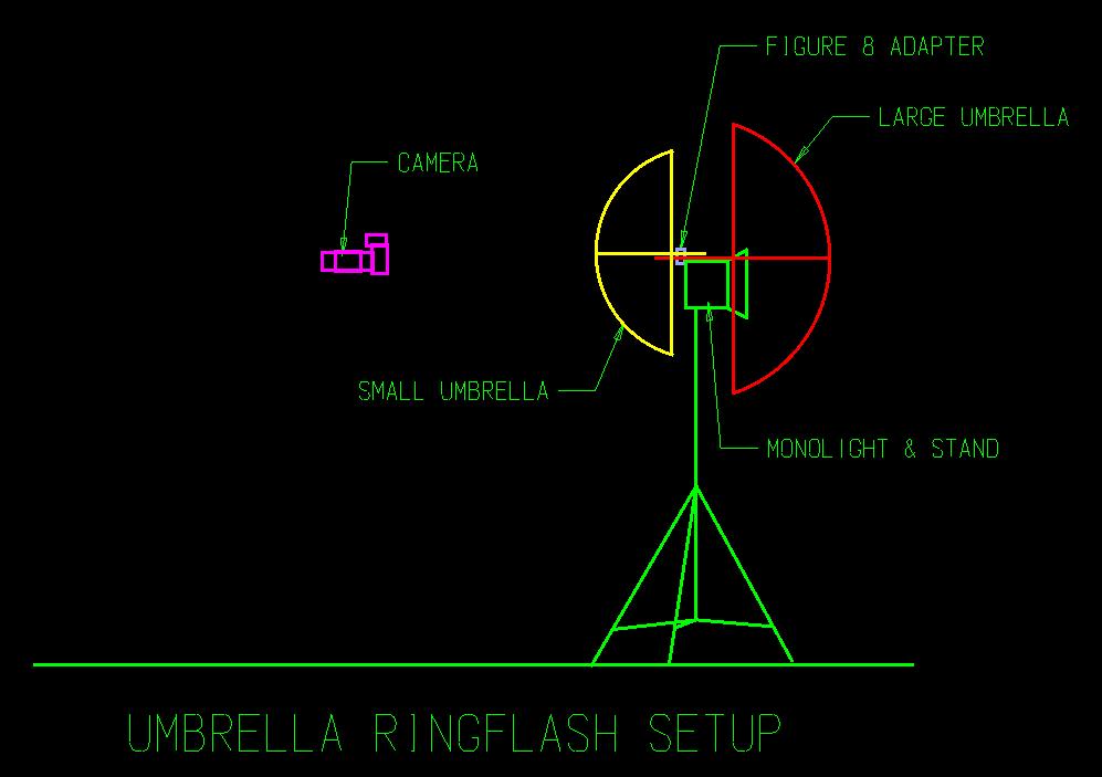 two umbrella ring setup Source - http://www.nwprophoto.com/tempint/uf.jpg
